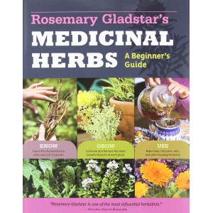 http://store.canyonrimhealthyliving.com/3161-thickbox/rosemary-gladstars-medicinal-herbs.jpg